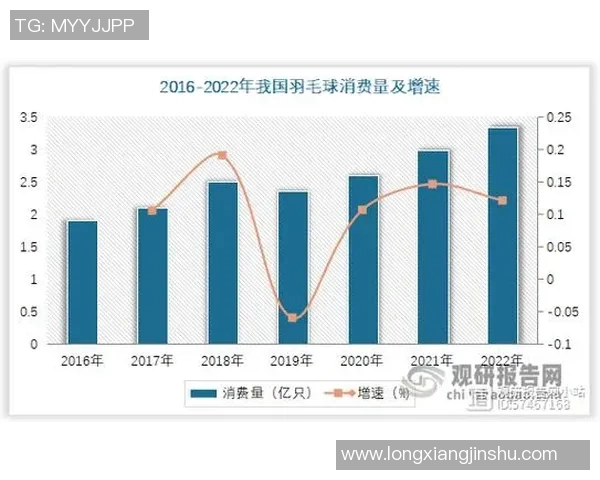 成都羽毛球队个人能力深度对比与分析揭示选手潜力与发展方向