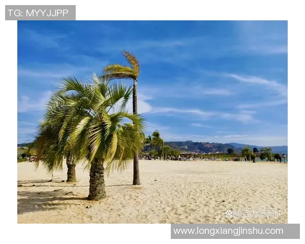 月亮湾足球：在海风与星空下追逐梦想的青春盛宴